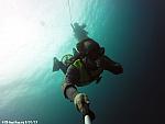 Free Diving the Sea Emporer
